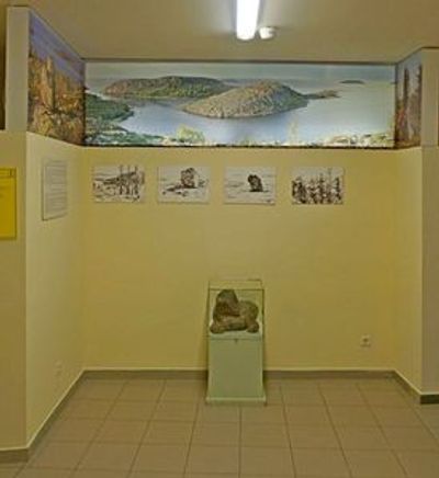 Нескучная прогулка из века в век: аудиоэкскурсия в Национальный музей Республики Карелия - photo 3