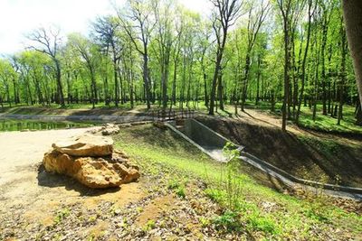 Богородицк: Аудиопрогулка по дворцу, парку и прудам - photo 3