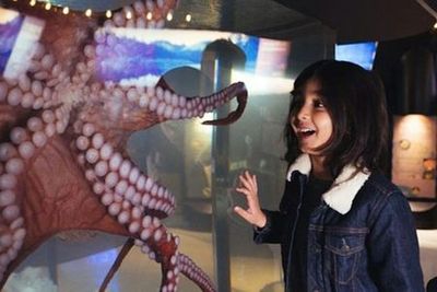 Ванкуверский аквариум: Входной билет - photo 3