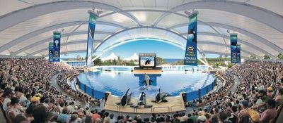 Loro Parque: Entry Ticket - photo 3