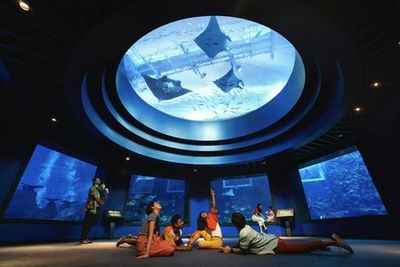 S.E.A. Aquarium™ Singapore: Entry Ticket - photo 4