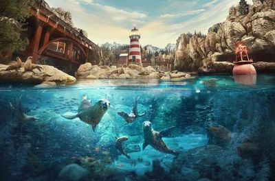 SeaWorld Abu Dhabi: Entry Ticket + Shuttle Service - photo 3