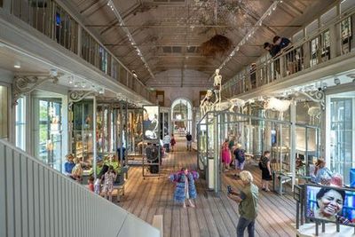 Зоопарк АРТИС и музей Грут: вход без очереди - photo 3