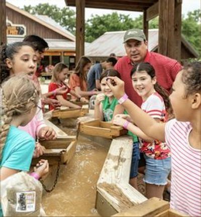 Извилистые тропы в пещерах Natural Bridge: входной билет - photo 4