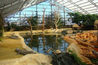La Ferme aux Crocodiles: Входной билет - photo 3
