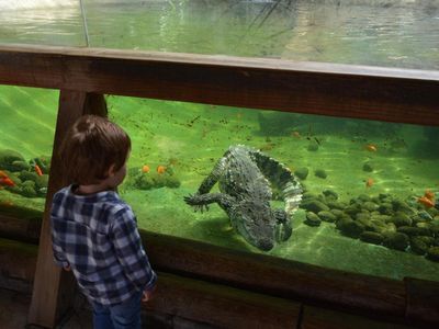Terra Natura Benidorm: Входной билет - photo 4