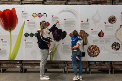 Тюльпановый опыт Амстердама: Входной билет - photo 3
