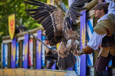 Puy du Fou: Входной билет - photo 3