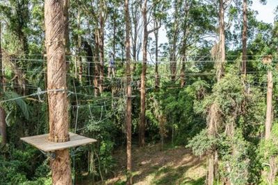 TreeTop Challenge Sunshine Coast: входной билет - photo 3