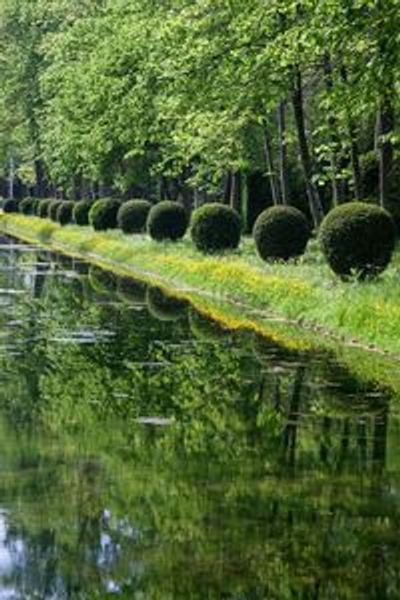 Дворец Шантийи: вход только в сады - photo 4