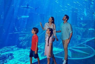 Аквапарк Aquaventure: входной билет + аквариум + сноркелинг с акулами или сафари - photo 3