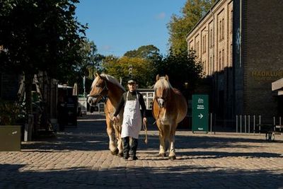 Дом Carlsberg: Входной билет + Напиток - photo 3