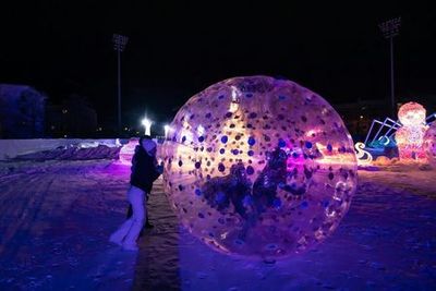 Winterpark SnowGlow: Входной билет - photo 3