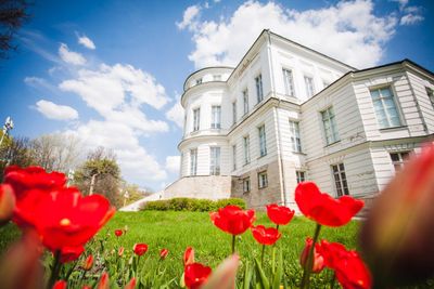 Богородицк: Аудиопрогулка по дворцу, парку и прудам - photo 2