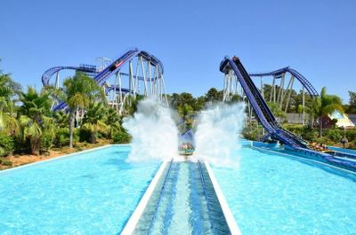 Aquashow Park: Entry Ticket - photo 2
