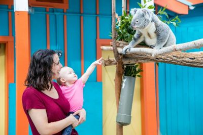 ZooTampa at Lowry Park: Fast Track Ticket - photo 2