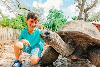 ZooTampa at Lowry Park: Fast Track Ticket