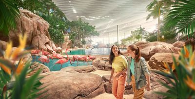 SeaWorld Abu Dhabi: Entry Ticket + Shuttle Service - photo 2