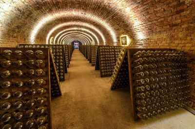 Schlumberger Cellar World: Entry Ticket + Optional Tasting