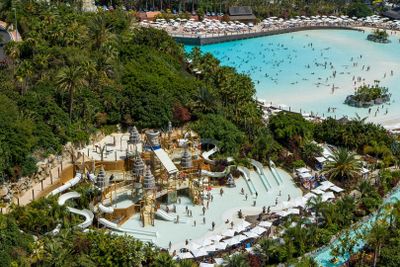 Парк Loro Parque и Аквапарк Siam Park: Входной билет - photo 2