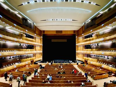 Санкт-Петербург: Аудиопрогулка по дворцам и театрам Коломны