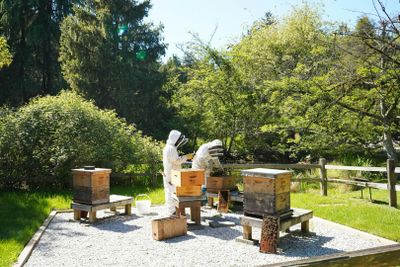 Ботанический сад VanDusen: Входной билет