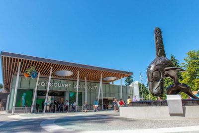 Ванкуверский аквариум: Входной билет - photo 2