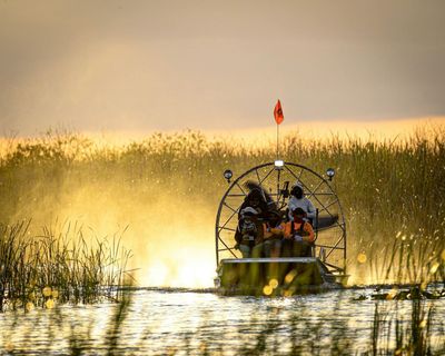 Эверглейдс: 40-минутная прогулка на воздушной лодке и посещение заповедника для животных - photo 2