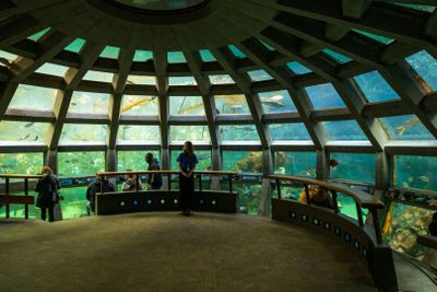 Сиэтлский аквариум: Входной билет - photo 2
