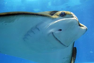 Barcelona: Aquarium Ticket and a Self-Guided Audio Walk Through the City - photo 2