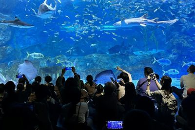 Аквариум COEX: Входной билет