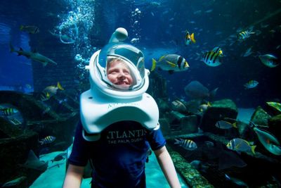 Аквапарк Aquaventure: входной билет + аквариум + сноркелинг с акулами или сафари