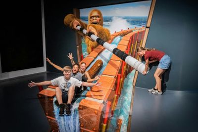 3D-музей TrickArt, Берлин: Входной билет - photo 2