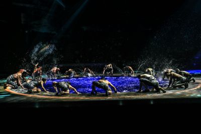 La Perle от Dragone: Билет на шоу - photo 2