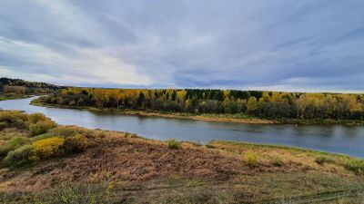 Молёбка: Аудиопрогулка по аномальной деревне - photo 2
