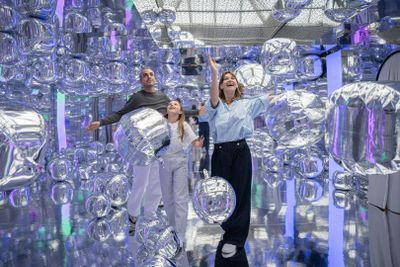 ИКОНО Вена: Входной билет