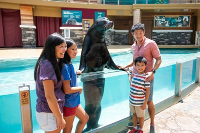 SeaWorld Орландо: входной билет с дополнительной быстрой очередью - photo 2