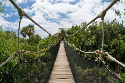 Зоопарк Jungle Park: Входной билет