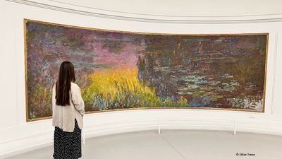 Paris: Bilhete de acesso sem fila à Orangerie e visita áudio ao Impressionismo - photo 2