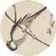 Anna avatar