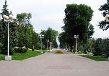 Сад Алексан...