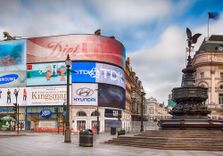 Piccadi...