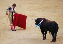 Alicante Bullring