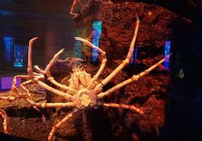 SEA LIFE Bangkok...