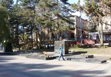 Vechnyy Ogon' (...