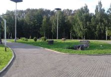 Park Kamney
