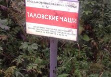 Таловские чаши