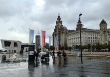 Liver Building
