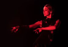 Flamenco Dance M...