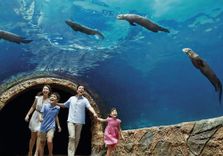 Singapore River W...